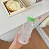 Copo com canudo para bebida suco cold brew estilo Ins fresco copo de água para casa grande capacidade copo de vidro para chá de frutas