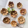 Decoración Artesanal DIY Flor de Madera Flor Rosa Planta Creación de Entorno para Jardín de Infancia Material de Flor Seca Decoración Colgante de Interior Flor Enrollada de Madera