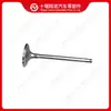 Peças de Motor Cummins Válvula de Admissão 5492611