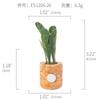 Amazon Planta Artificial Suculenta Imán de Corcho Imán de Refrigerador Decoración del Hogar Estilo Pastoral Suculenta Creativa Atracción Magnética