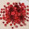 Conjunto de Flores Artificiais com 50 Peças, Flores de Seda para Materiais DIY, Grampos de Cabelo com Flores Artificiais, Acessórios para Hanfu, Decorações de Casamento, 4-12cm Estilos Mistos