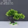Decoração de Enfeite de Mesa Pinheiro Bem-vindo Pequeno Pinheiro Plantas Verdes Plantas Aquáticas Mini Rochedo Aquário Paisagismo Hotel