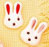 DIY Muñeca de Conejo de Peluche Accesorios Zapatos Calcetines Materiales Broche de Animal de Dibujos Animados Artesanías Rellenas de Algodón Hecho a Mano