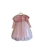 Outono e Inverno 2026 Vestido Princesa Elsa Vestido de Menina Frozen Menininha Aniversário Vestido de Tule com Mangas Bufantes