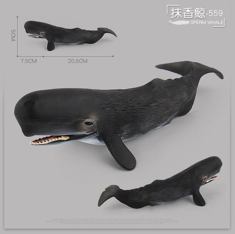 详情图片_008.jpg