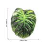 Tyct001-004 Criativo Acrílico Planta Tropical Imã de Geladeira Magnético Decoração de Geladeira Folha Adesivo Magnético