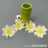 Flor de Peonía Llama Pintura al Óleo Simulada Flor de Muñeca Pasador Flor Caja de Regalo Hecha a Mano con Flores Ropa Gorro de Graduación con Flores