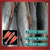 Salmón Fresco de Xinjiang Listo para Comer Sashimi Sushi Entero Filete de Trucha Arcoíris Sin Espinas Venta al por Mayor