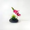Nuevo Macetero Negro Piedra 3 Flores Phalaenopsis Suculenta Bonsái Flor Suministro Directo del Fabricante Moderna Decoración del Hogar