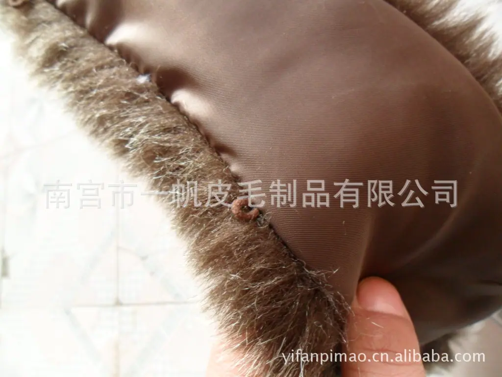 SAM_1816