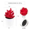 Más de 100 Tipos de Combinaciones de Plantas Suculentas Mini de Plástico Simuladas en Maceta, Mini Bonsáis Suculentos Más Vendidos Transfronterizos, Decoración para el Hogar, Adornos Creativos
