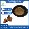 Extracto de Chaga 10:1 Polisacárido de Chaga Soluble en Agua Polvo de Chaga Crisantemo Suministro Listo Envío Gratis