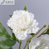 Flor Artificial Peonía Multicabeza Gama Alta Decoración Proyecto Hogareño Boda Tela de Seda Flor Falsa Bolso Peonía Al por Mayor