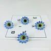 Flor de Girasol Mini Pequeña Simulada Flor de Muñeca Pasador Caja de Regalo Hecha a Mano DIY con Flores, Ropa, Zapatos y Sombreros Flores Decorativas