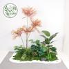Paisajismo de Plantas Verdes Paisajismo de Balcones Decoración de Plantas Artificiales para Interiores y Exteriores Planta Viajera Plátano Espalda de Tortuga Planta Debajo de las Escaleras Paisajismo