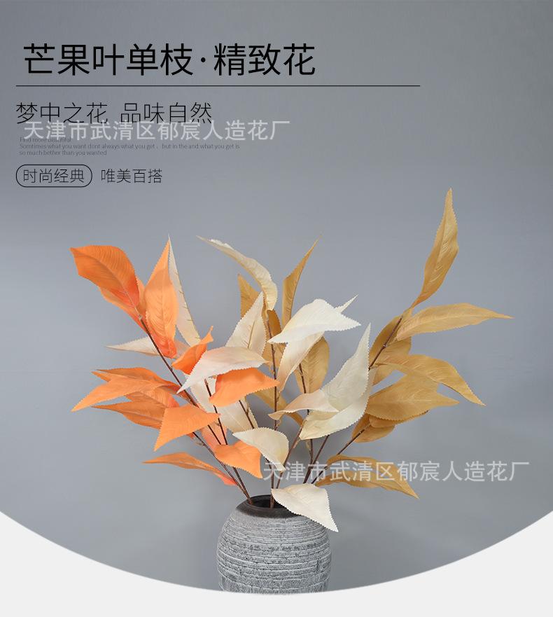 详情_05.png