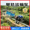 Vehículo de transporte monorraíl propulsado por diésel, transportador monorraíl para plantaciones de té montañosas, monorraíl montado en campo para transporte de carga cuesta arriba