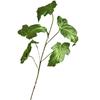5 Folhas de Begônia Folhas de Chuva de Primavera Flores Artificiais de Casamento Fotografia Planta de Casa Decoração Floral Mori Vestido Suave Simulação Plantas Verdes