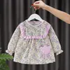 Vestido Saia Princesa para Bebê Menina Roupa Externa Babador de Bebê para Comer Impermeável Anti-Sujeira Vestimenta Reversa Bolso de Arroz Avental Outono e Inverno