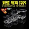 Caja de cría para peces guppy, caja de aislamiento acrílica para acuario, cámara de desove y eclosión extragrande para alevines y peces jóvenes