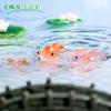 Micro paisagem criativa pequeno peixe bonito koi aquário tanque de peixes garrafa ecológica paisagem DIY decoração acessórios pequenos ornamentos