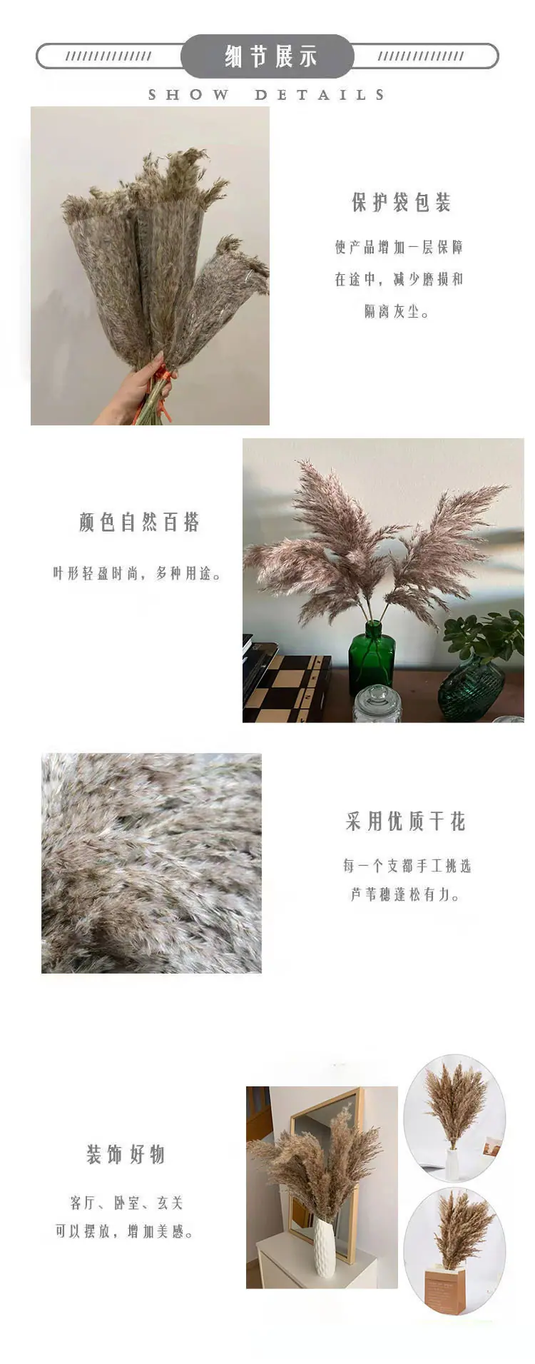 芦柴详情2