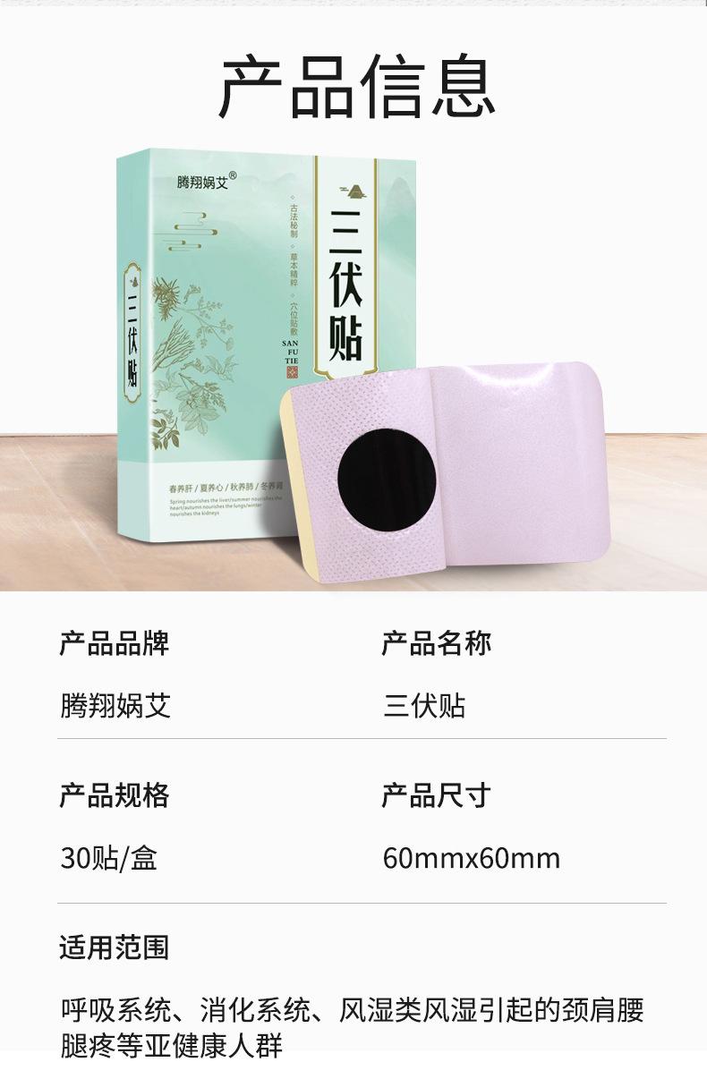 三伏贴详情_12