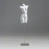 Mannequins de Meia-Corpo Masculino e Feminino para Exposição de Lingerie, Rack para Vitrine de Loja de Lingerie, Manequim, Rack para Exposição de Maiôs e Sutiãs, Modelo de Prateleira