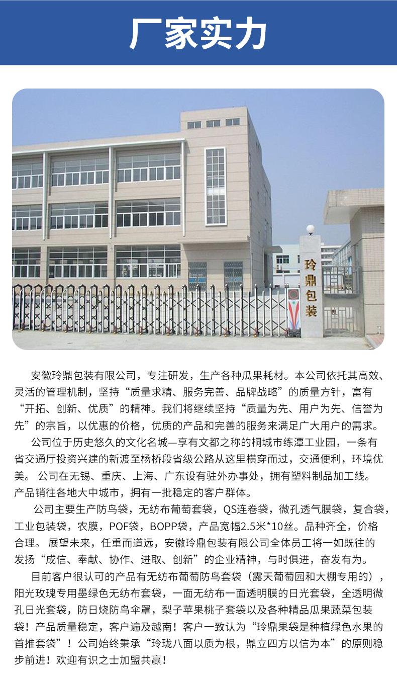 无纺布手提袋_15