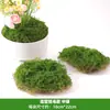 Césped de Musgo Artificial para Paisajismo Biónico Musgo Falso Adornos para Arreglos de Micro Paisajes Decoración de Pavimentación Césped Bonsái Planta en Maceta