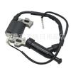 Paquete de Alto Voltaje del Carburador Gx168 Gx160 Bujía Accesorios para Generador