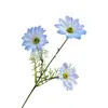 3 Crisântemos Artificiais de Verão Jardim Monet Cerimônia de Casamento Flores Artificiais 3D Margaridas Camomila Gérbera Flores Falsas Exportação