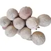 Jade Blanco Raíz de Bodhi Semilla Original Semilla Grande de Bodhi Fruto de Ginkgo Talla Diámetro 11-30 mm Raíz de Bodhi Fruta Grande Materia Prima