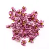 Flores de Seda Mini de 2 cm Más Vendidas Transfronterizas, Cabezas de Flores de Margarita Multicolor, Coronas de Flores Artificiales, Accesorios para Manualidades, Decoraciones para el Hogar y Bodas