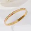 Celebridade da Internet Luxo Leve Ouro Rosa Aço Titânio Listra Verde Vermelha Pulseira de Diamante Feminina Estilo Frio Design de Nicho Ins Tendência