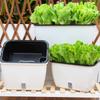 Macetas Especiales Familiares para Balcón para Verduras Rectangulares para Plantar Macetero para Flores Patio Macetas de Plástico para Flores Macetas Largas para Suculentas de Exterior