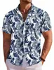 Camisa Casual de Moda Hawaiana de Estilo Nuevo para Hombre, Transfronteriza Europea y Americana, Impresión Digital 3D, Manga Corta, Fábrica de Origen