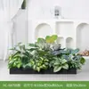[Série Hc-An7] Caixa de Flores de Planta Verde Simulada Decoração de Sala de Estar Interna Janela de Chão a Teto Paisagismo Fotografia de Casamento Estrada