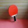 Exhibidor Transparente para Raquetas de Tenis de Mesa Exhibidor Raquetero Recto Raquetero Horizontal Exhibidor Acrílico Estante de Exhibición Estante de Soporte