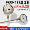 Termômetro Bimetálico Acessórios para Instrumentos Wss-411 Aço Inoxidável 0-300 C Termômetro de Controle de Temperatura para Caldeira Industrial