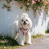 Arnés retro floral estilo chino para perro con correa de malla transpirable de doble capa, diseñado para prevenir escapes, adecuado para perros pequeños y medianos