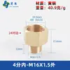 Adaptador de manómetro de cobre puro, reductor con roscas internas y externas M5M6M8M10M12M14*1.5M16 G1/4
