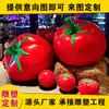 Esculturas de modelos de frutas e vegetais em fibra de vidro, esculturas simuladas de frutas e vegetais, tomates, milho, repolho, pimentões, itens de exibição decorativos