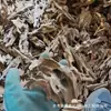 El paisajismo de troncos de acuario utiliza raíz de rododendro, teca morada, plantas acuáticas y tocones de árboles para crear una escena natural para que los reptiles trepen y se posen.
