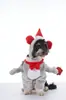 Fantasia Divertida de Halloween para Pets Mais Vendida da Amazon Fantasia de Transformação de Palhaço Boxeador para Pets Fantasia de Cachorro em Pé