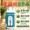 Solução nutritiva especial para Árvore Sangue de Dragão para tratar folhas amarelas na Árvore Barba de Dragão Como cuidar de Plantas Verdes de Sala de Estar Fertilizante Universal Solúvel em Água YL