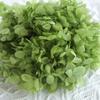 Hortensia Anna Wood Grado B Hortensia Inmortal Hortensia de Mediana Edad Hortensia Gradiente Flores Secas Flores Preservadas 2 g/Paquete Suministro Directo de Fábrica