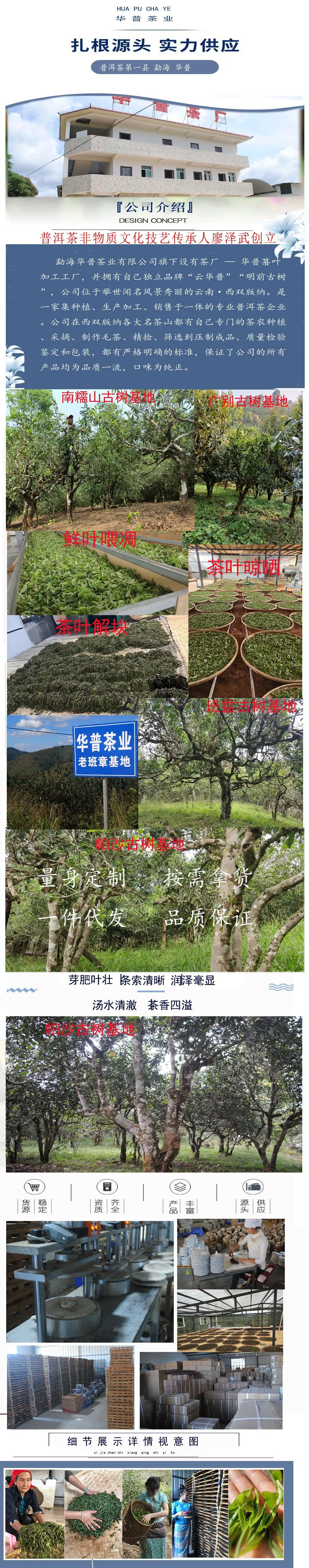 公司的统一图