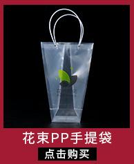 小链接主图
