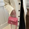 Bolso Cuadrado Pequeño para Mujer Estilo Coreano Bolso de Hombro Moda Distintivo Bolso Pequeño de Otoño Nuevo de Moda Portátil Bolso Cruzado para Mujer 2024